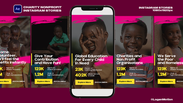 Charity Nonprofit Instagram Stories Product Promo template preview