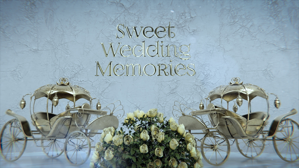 Sweet Wedding Memories Video Displays template preview
