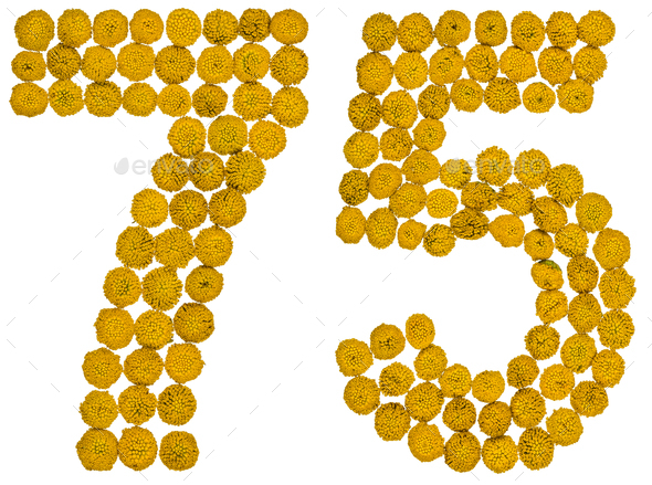 Arabic numeral 75, seventy five, from yellow flowers of tansy, isolated on white background