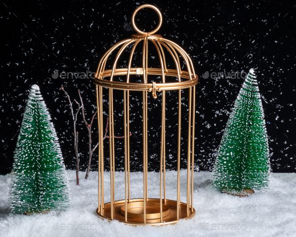 A closed cage in a snowy forest at night. The concept of change. Comfort zone. Fear of the new.