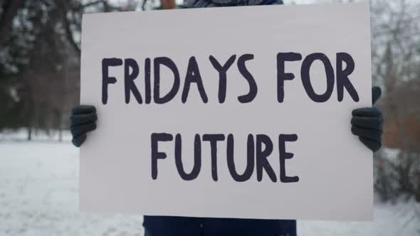 Fridays For Future Climate Protection Movement Against Pollution Placard alt