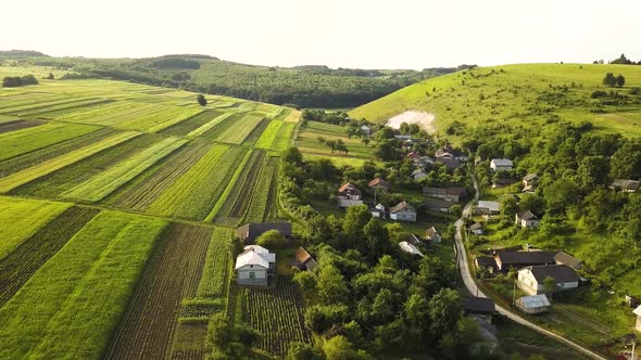 Aerial view of small village with small houses among green trees with farm fields and distant  alt