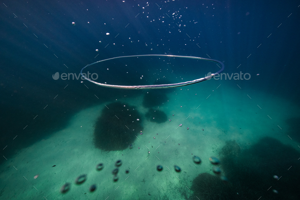 Underwater Air Bubble Ring stock image. Image of bright - 24600735