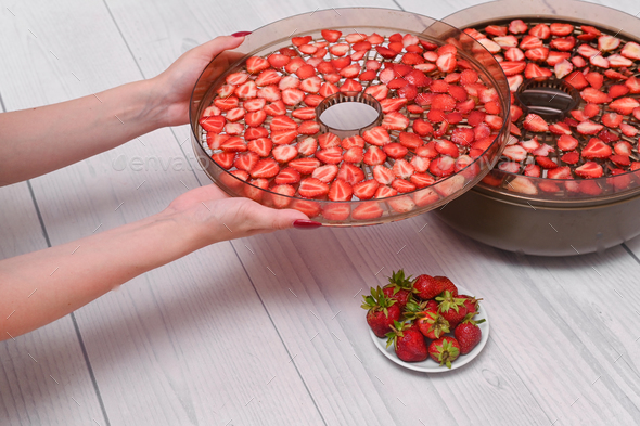 a tray from a dehydrator machine in a woman's hand with strawberry Stock  Photo by ja-aljona