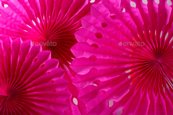 Pink party paper fans. Folding festive decoration. Stock Photo by kcuxen