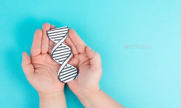 Holding a DNA strand in the hand, genetic therapy and treatment, biotechnology in mordern medicine