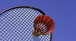 Badminton