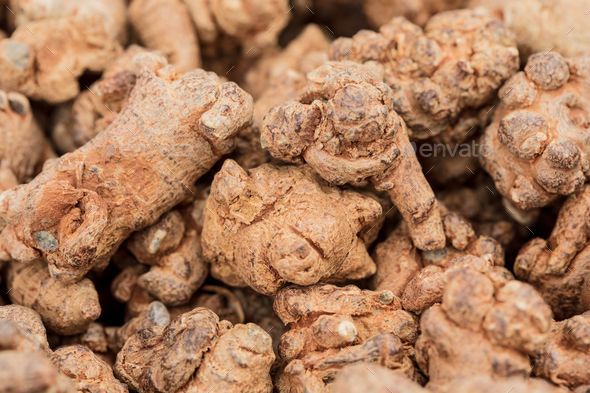 Closeup view of Panax notoginseng for making medicine in a market for sale - Stock Photo - Images