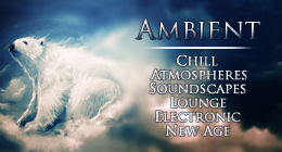 Ambient Collection