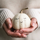 Female hands holding a small white pumpkin with a painted face. Creative Halloween concept - PhotoDune Item for Sale