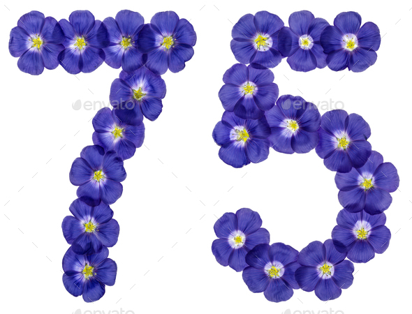 Arabic numeral 75, seventy five, from blue flowers of flax, isolated on white background