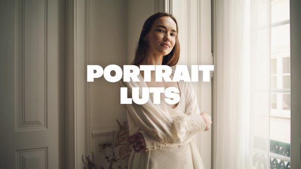 Portrait LUTs