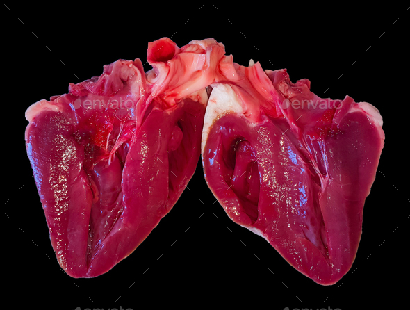 Real heart muscular organ cut in halves isolated on the black background