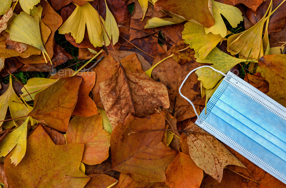 Overhead view of blue surgical mask on autumn leaves