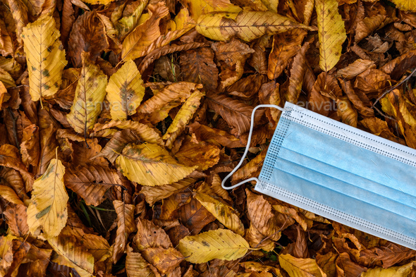 Overhead view of blue surgical mask on autumn leaves
