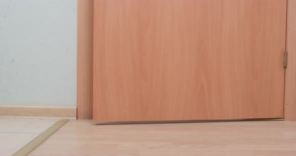 Door to Room Slowly Opens and Inside There is Funny Dachshund Dog in Blue Tshirt and with Backpack alt