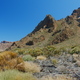 sparse vegetation in the Teide National Park. Tenerife, Canary Islands. Picteresque desert view. - PhotoDune Item for Sale