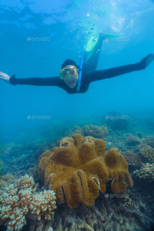 woman using a stinger suit in the great barrier reef in summer time .