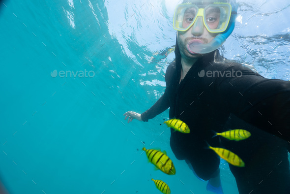 men using a stinger suit in the great barrier reef in summer time . - Stock Photo - Images