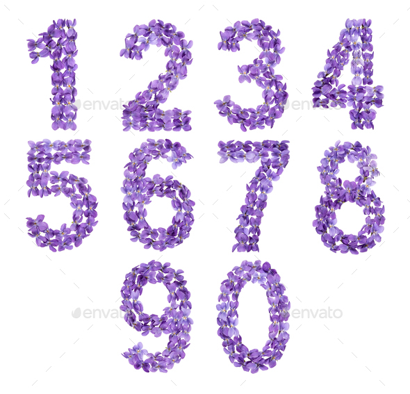 Set of arabic numbers, natural flowers of violet, isolated on white background