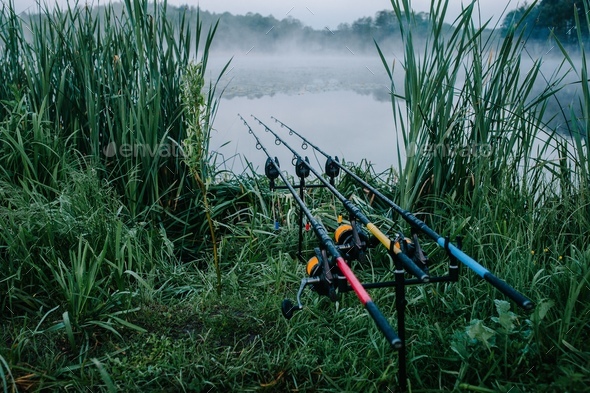 Three carp fishing rods in rod pod on a background of lake and nature.  Fishing background. Carp Stock Photo by kurinchukolha
