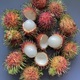 Portrait of a tropical fruit - the rambutan - PhotoDune Item for Sale