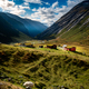 Tranquil Highland Landscape with grazing sheep in Norway&#39;s Historic Strynefjellet Valley - PhotoDune Item for Sale