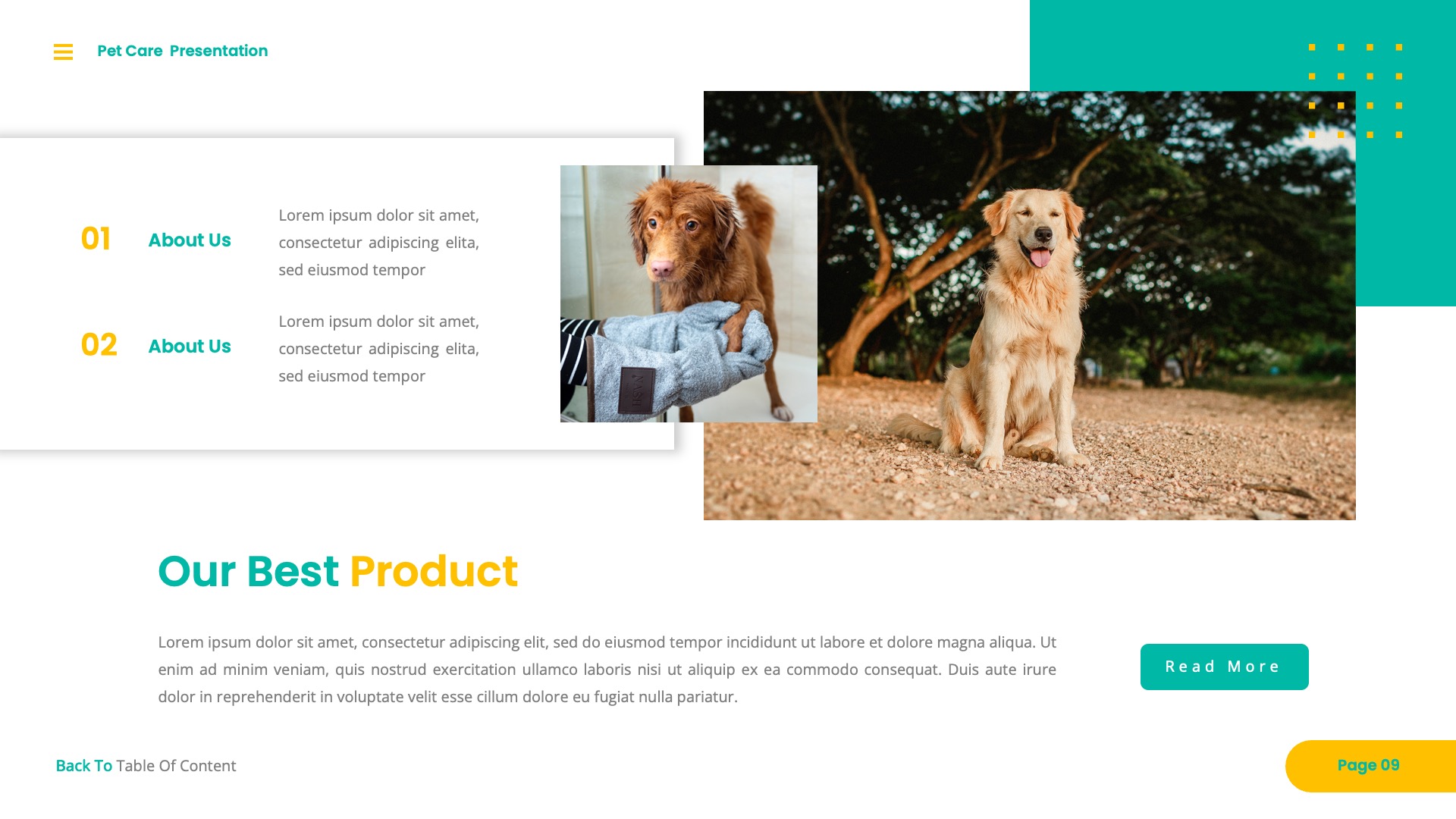 PetChip - Pet Care PowerPoint, Presentation Templates | GraphicRiver
