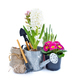 Spring hyacinth and primulas flowers, gardening tools on white background. Gardening concept - PhotoDune Item for Sale