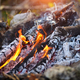 Close up of bonfire with flame and firewood outdoors - PhotoDune Item for Sale