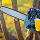 A gardener pruns trees with a lightweight cordless chain saw. Work in the autumn garden. - PhotoDune Item for Sale