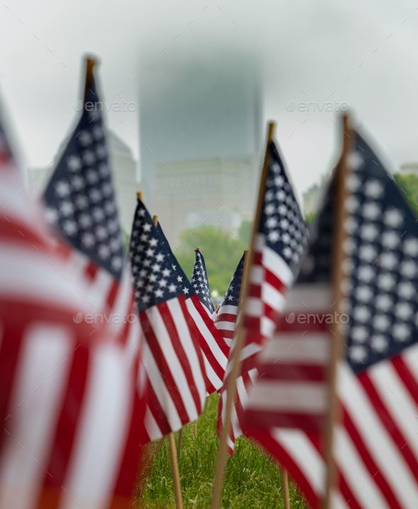 American Flags at a memorial day event for fallen military service personnel