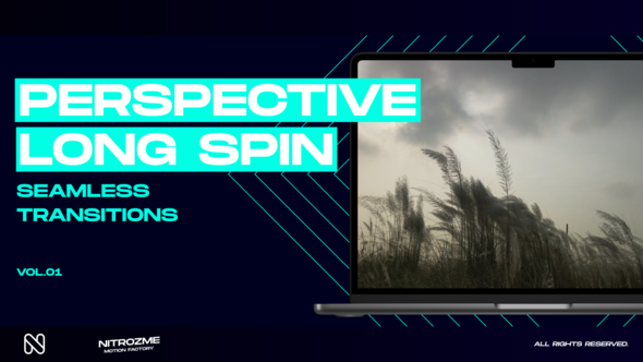 Perspective Long Spin Transitions Vol. 01