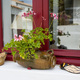 Window decorated with Geranium flowers at a Provence France - PhotoDune Item for Sale