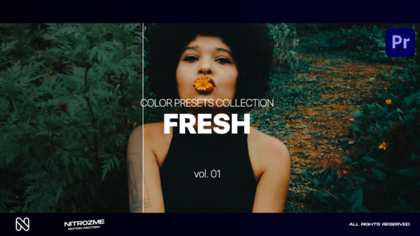 Fresh LUT Collection Vol. 01 for Premiere Pro
