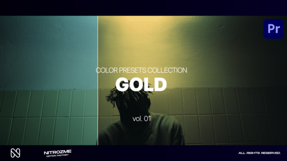 Gold LUT Collection Vol. 01 for Premiere Pro