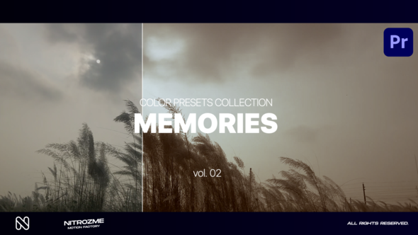 Memories LUT Collection Vol. 02 for Premiere Pro