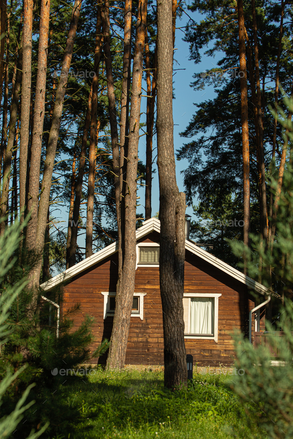 Cozy small wooden house cottage in a pines forest in summer. Rustic tranquil cabin retreat on nature