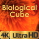 Biological Transforming Cube - VideoHive Item for Sale