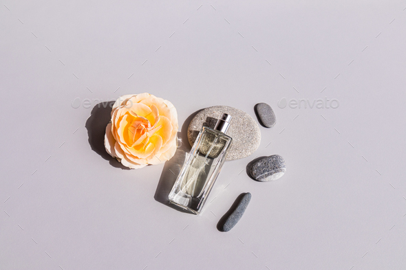 A chic bottle of feminine perfume or cosmetic spray lies on a gray oval sea stone with rose flower.