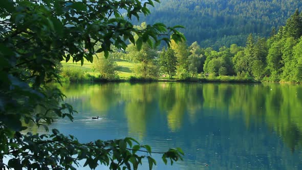 Emerlad Green Lake with Ducks
