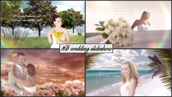 3D Wedding slideshow - VideoHive 3763588