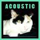 Folk Acoustic Positive