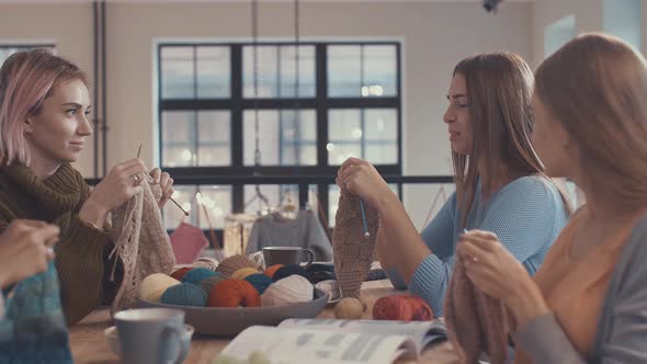 Smiling young girls  alt