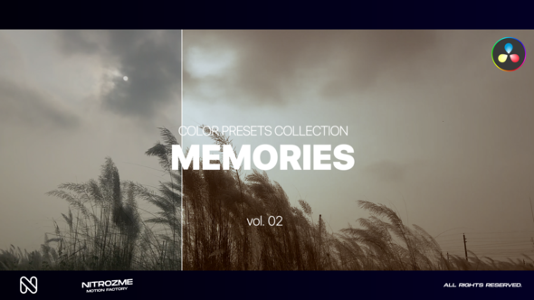 Memories LUT Collection Vol. 02 for DaVinci Resolve