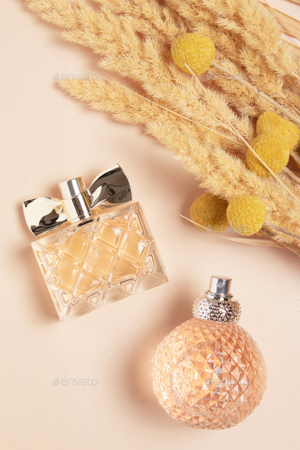 Perfume bottles and pampas grass. Concept of expensive perfume and