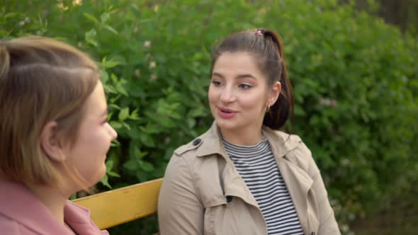 Women Talking on Bench in Park Friendship