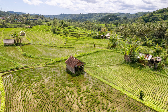 Small hut or cabin in green rice fields close to Sidemen in Bali, Indonesia