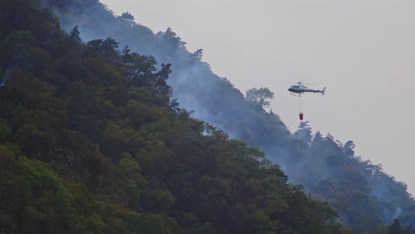 Helicopter Extinguish A Fire In The Forest