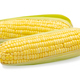 Corn isolated on white background with clipping path - PhotoDune Item for Sale